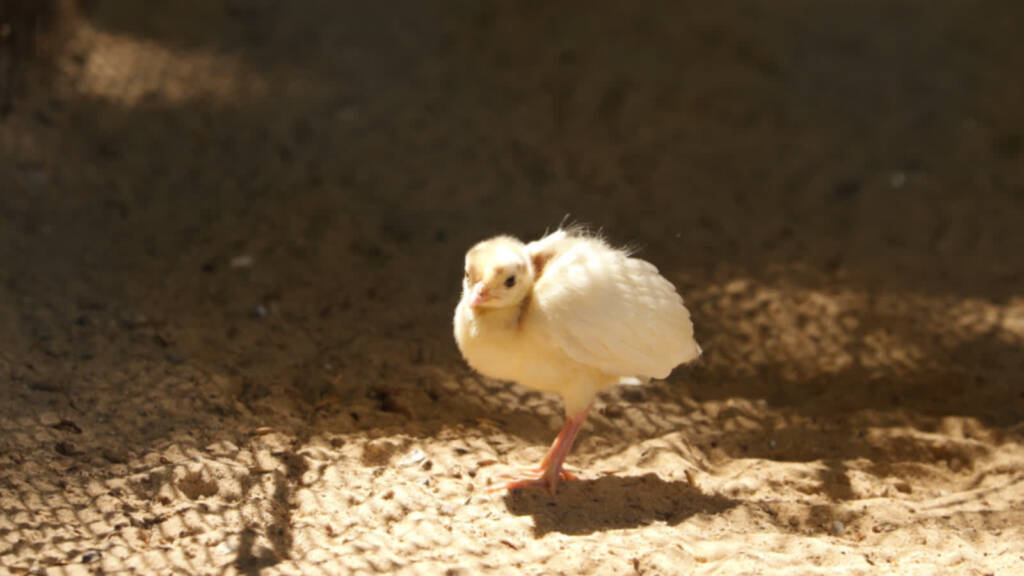 p1000916 2025 07 24 174404