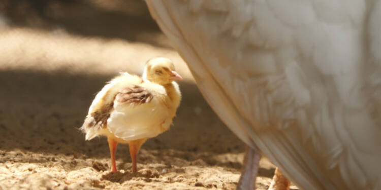 p1000984 2025 07 23 133309