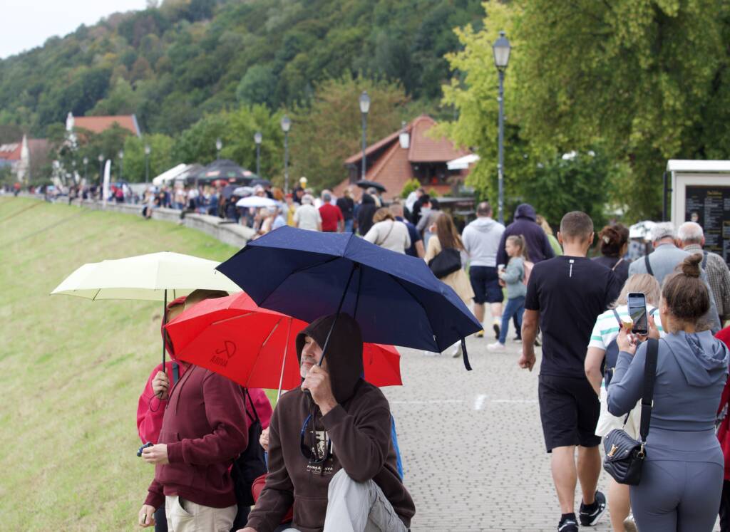 p9151736 2025 07 28 205415