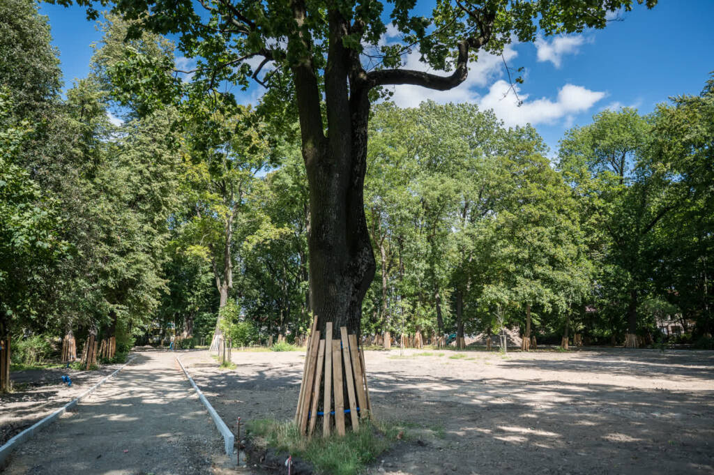 park bronowicki w trakcie prac fot. miasto lublin 4 2025 07 29 164756