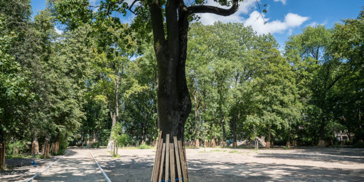 park bronowicki w trakcie prac fot. miasto lublin 4 2025 07 29 164756