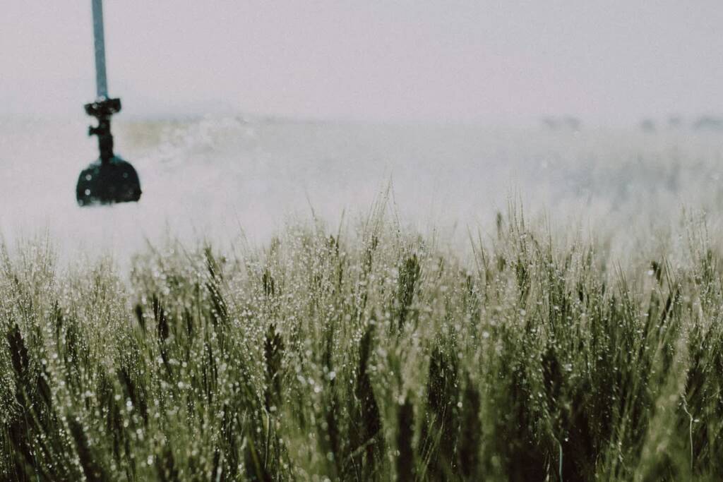 pexels amar 12032543 2025 07 13 114015