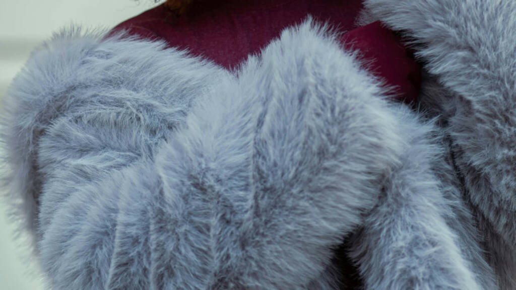 pexels aminnaderloei 31978035 2025 07 26 204728