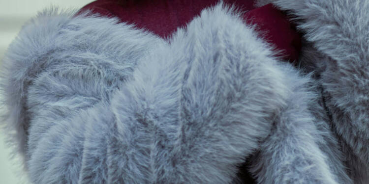 pexels aminnaderloei 31978035 2025 07 26 204728