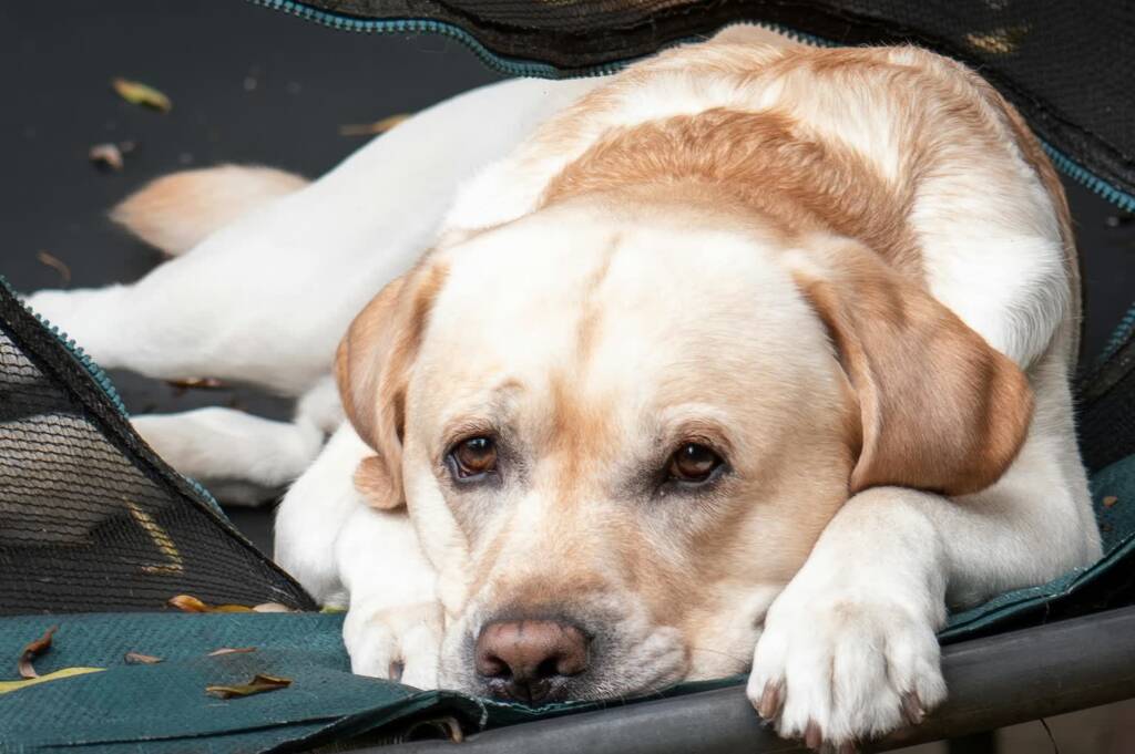 pexels ar kay 768552413 33108103 2025 07 22 122412