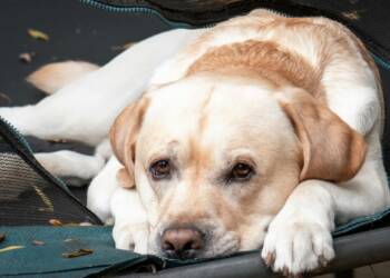 pexels ar kay 768552413 33108103 2025 07 22 122412