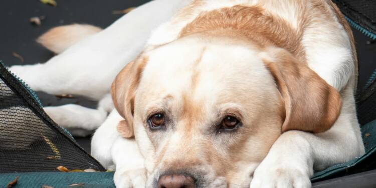 pexels ar kay 768552413 33108103 2025 07 22 122412