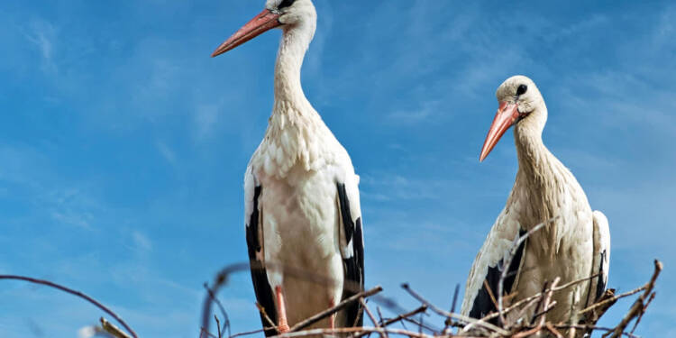 pexels carsten schmitt 1697414887 33105788 2025 07 29 153746