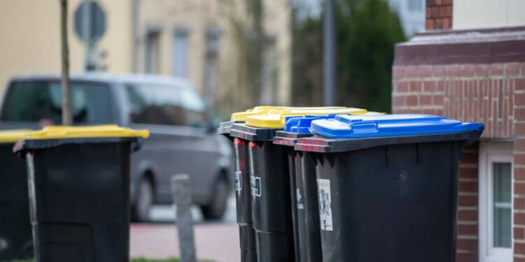 pexels christian schroter 563569351 20087250 2025 07 31 100150