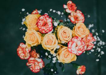 pexels fotios photos 2330635 2025 07 24 115912