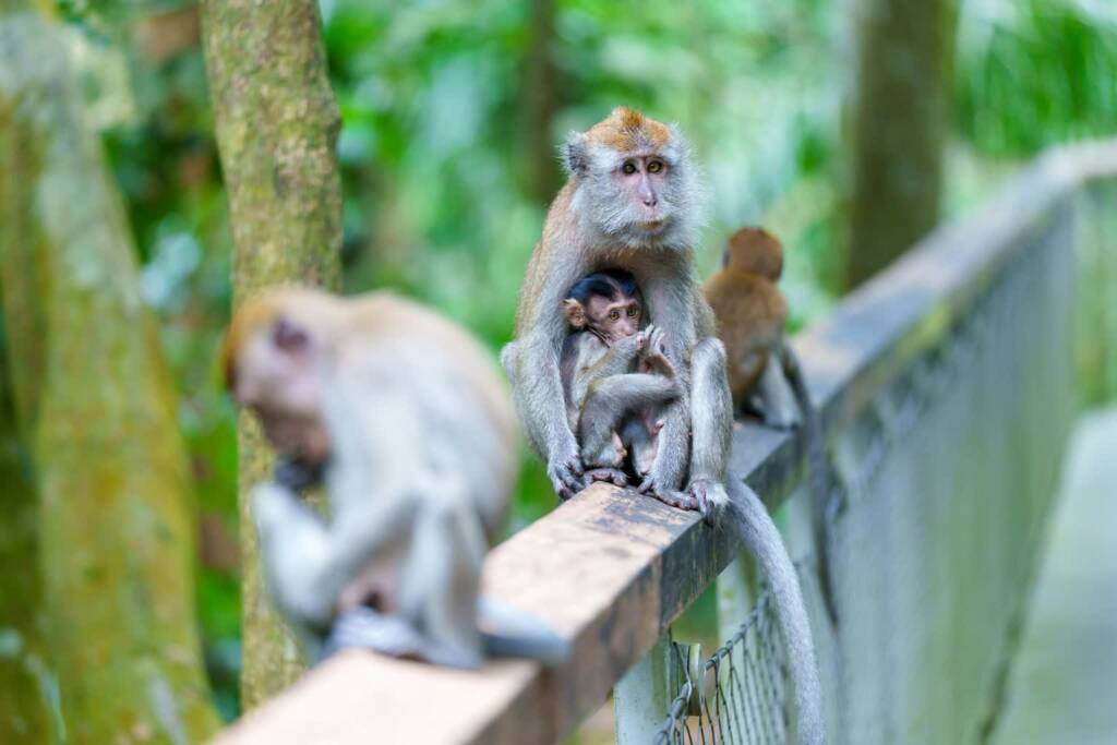 pexels jens f 2153787630 33154029 2025 07 29 160841