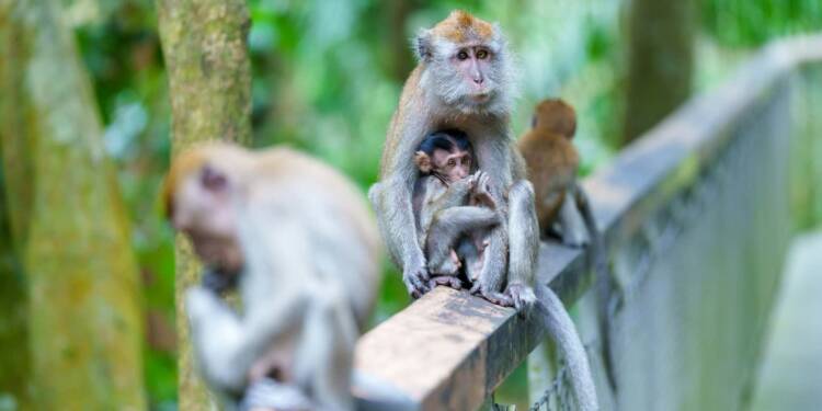 pexels jens f 2153787630 33154029 2025 07 29 160841