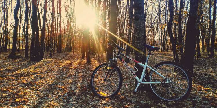 pexels juresiric 815932 2025 07 28 121516