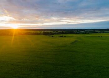 pexels mikhail nilov 8414411 2025 07 27 121724