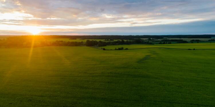 28.07.2025 Agrobiznes - o konkursie KRUS "Moja Wizja Zero" 1 pexels mikhail nilov 8414411 2025 07 27 121724