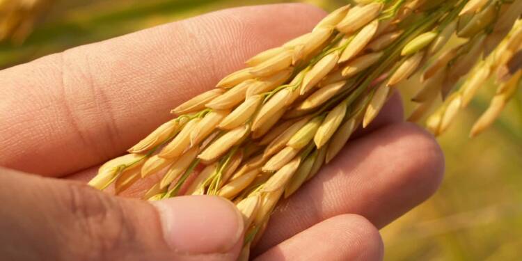 pexels pixabay 164504 2025 07 28 133710