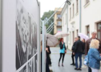 pm rolke 190725 008 2025 07 19 175835