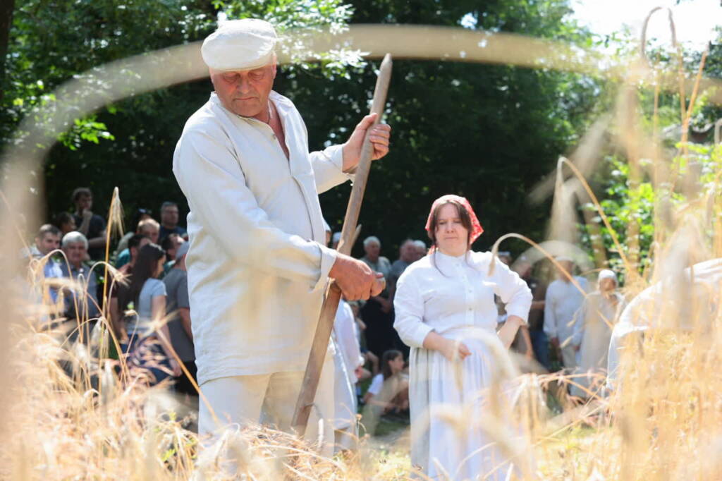 pmr64501 2025 07 20 174455