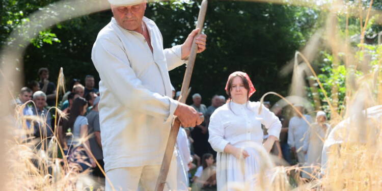 pmr64501 2025 07 20 174455