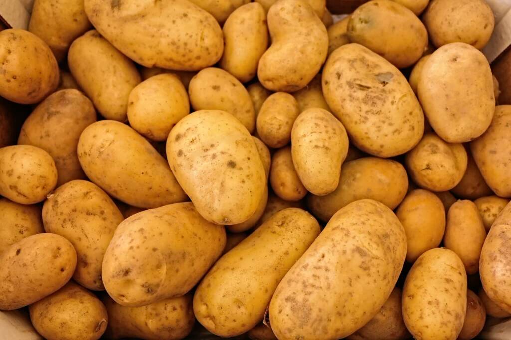 potatoes 411975 1280 2025 07 10 083204