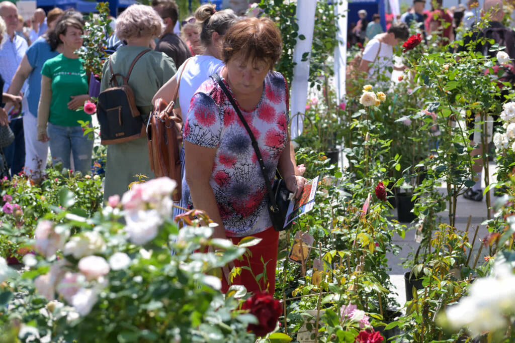 z9p 8575 2025 07 13 160558