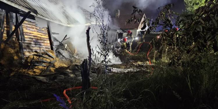 zdjecie whatsapp 2025 07 28 o 23.43.29 dd66ccf4 2025 07 29 184740