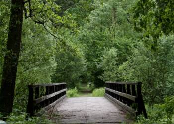 063e6322 afd5 4090 b60a 7dfad769aa49 2025 08 22 082534