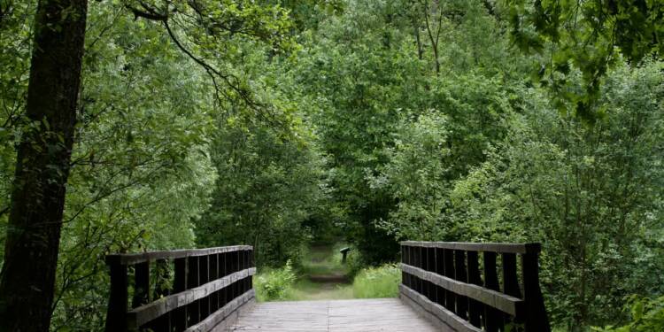 063e6322 afd5 4090 b60a 7dfad769aa49 2025 08 22 082534