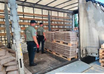 20250829 papierosy Dorohusk3