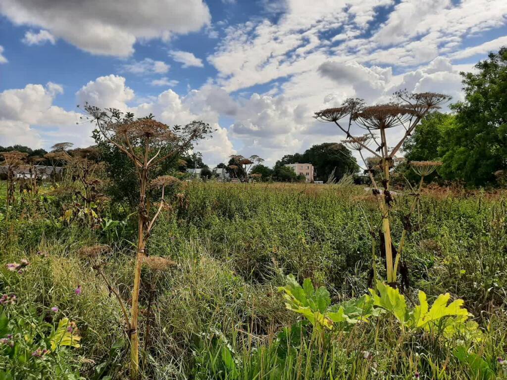 297920777 577726540513482 181833948150111591 n 2025 08 02 004635