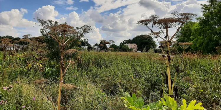 297920777 577726540513482 181833948150111591 n 2025 08 02 004635