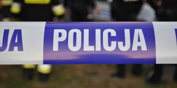 303 203823 2025 03 03 183155 2025 08 10 122851