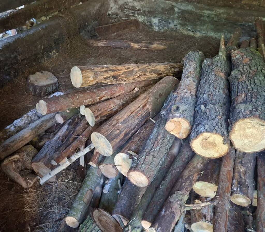 343 273260 2025 08 15 100928