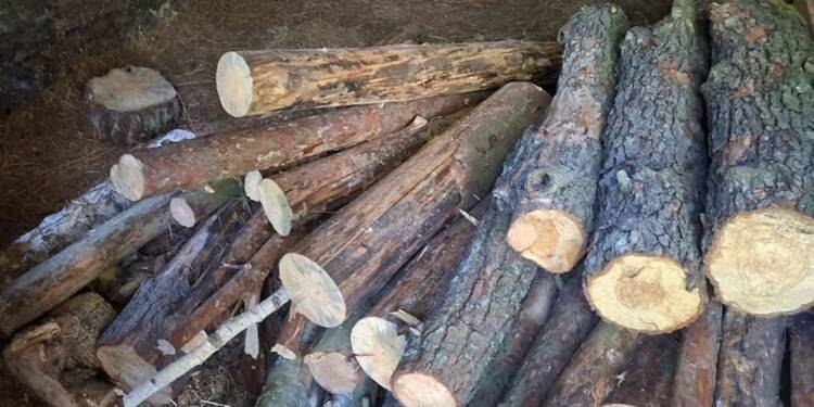 343 273260 2025 08 15 100928