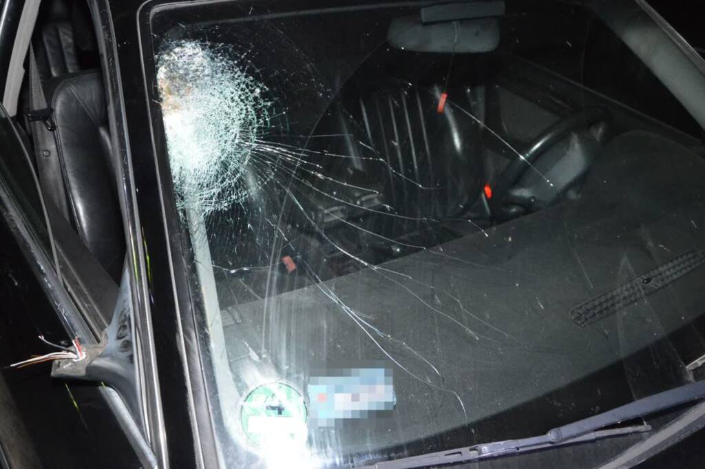 343 273354 2025 08 16 202533