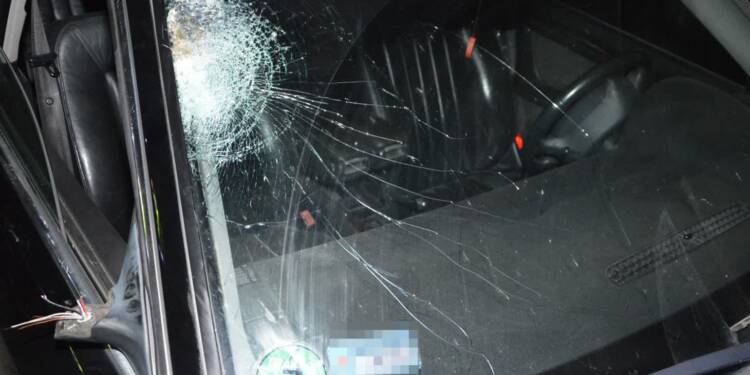 343 273354 2025 08 16 202533