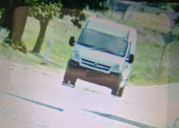 343 273554 2025 08 20 210118