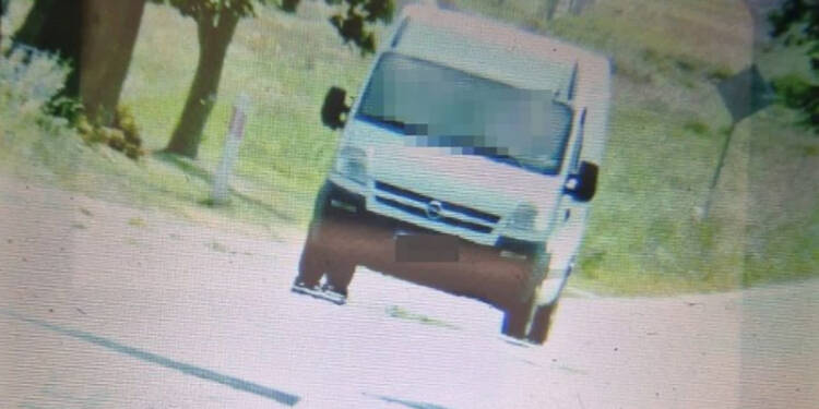 343 273554 2025 08 20 210118