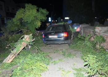 Pijacka przejażdżka z finałem na drzewie. Jedna osoba trafiła do szpitala 9 345 273698 2025 08 26 062320