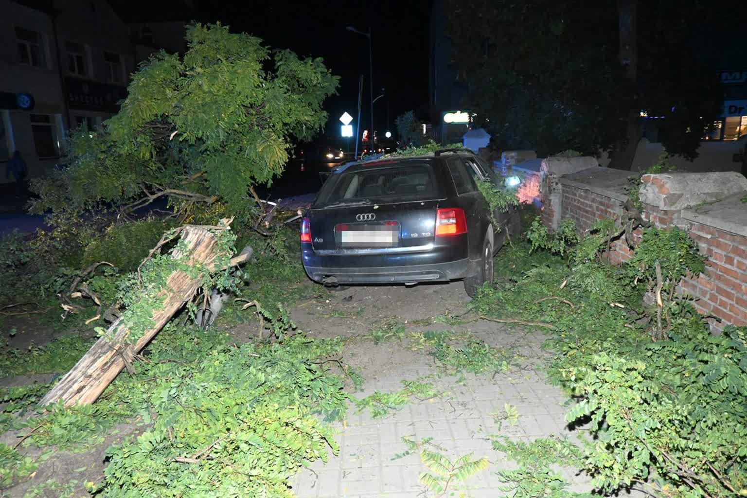 Pijacka przejażdżka z finałem na drzewie. Jedna osoba trafiła do szpitala