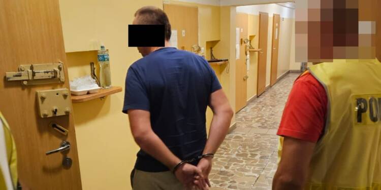 349 273506 g 2025 08 20 075428