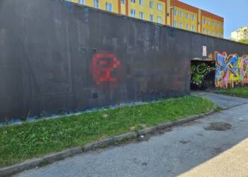 350 273565 2025 08 21 115450