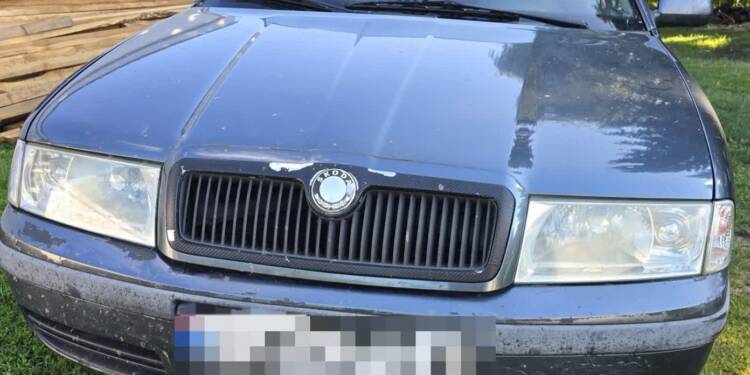 353 272808 2025 08 03 160702