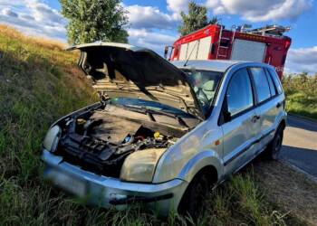 353 273725 2025 08 26 114642