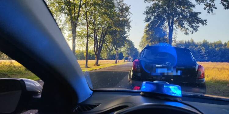 354 273313 2025 08 15 121126