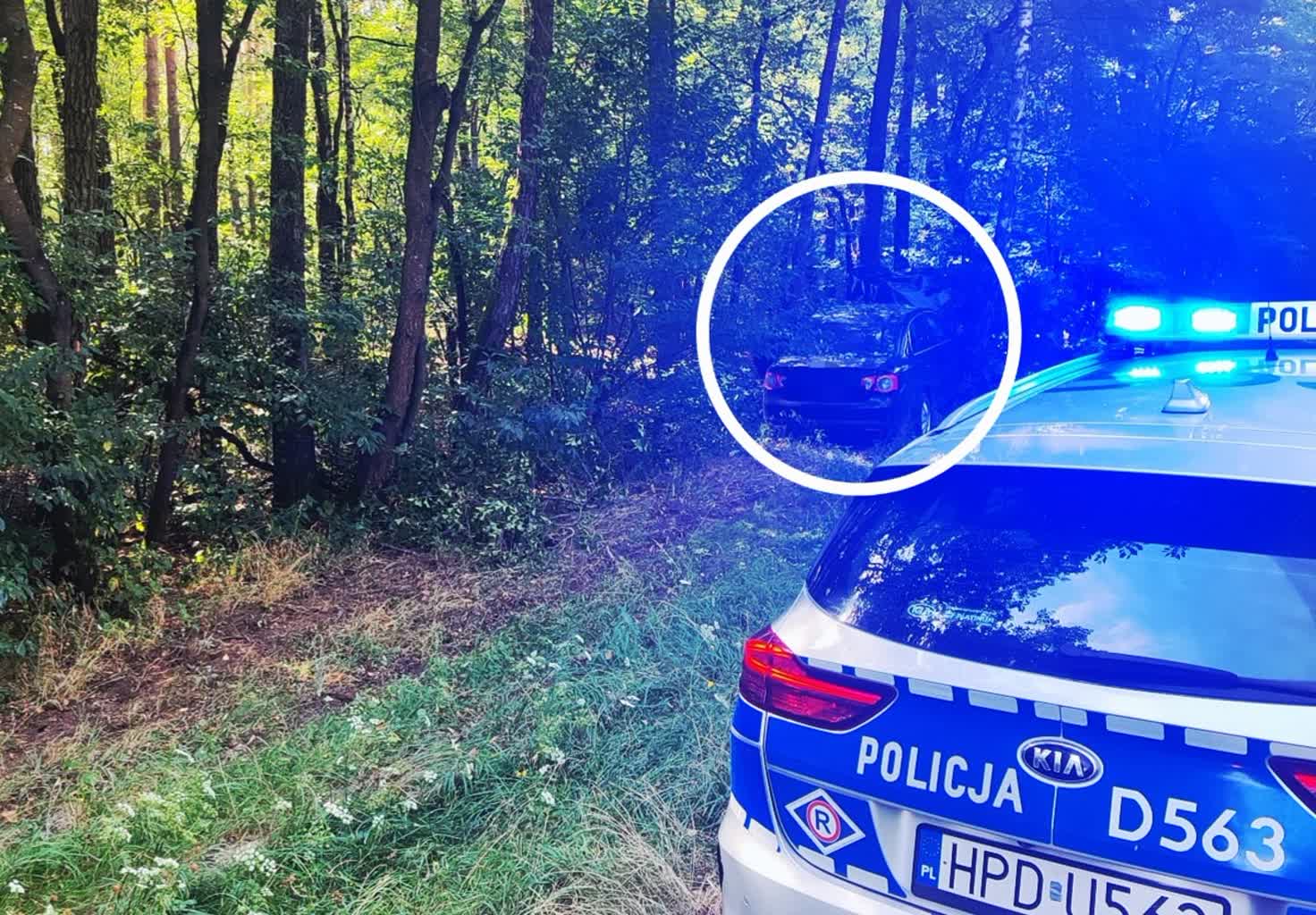 Chciał wyminąć sarnę, wjechał w drzewo 2 354-273644.jpg