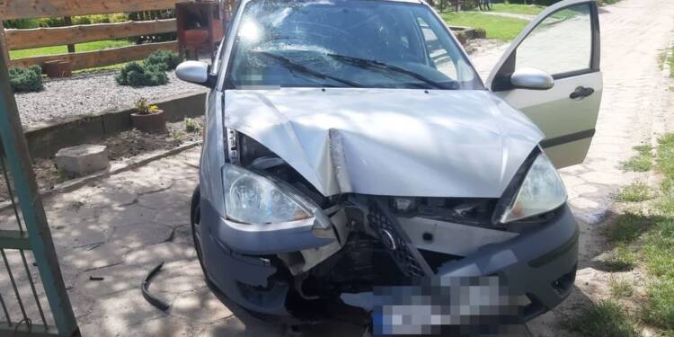 355 272804 2025 08 02 195233