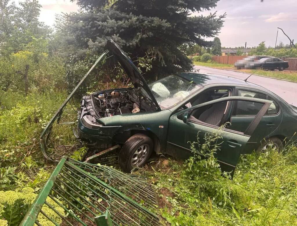 355 272866 2025 08 04 210158