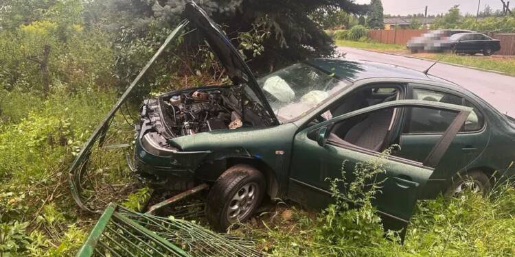 355 272866 2025 08 04 210158