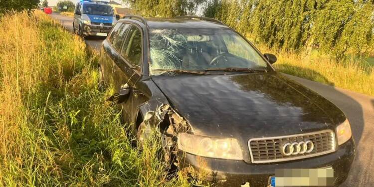 355 273030 2025 08 08 123406